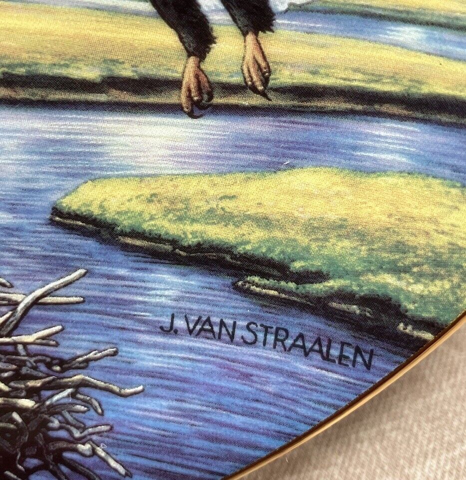 DANBURY MINT "RETURN TO THE PLAINS" LIMITED EDITION Plate by John Van Straalen
